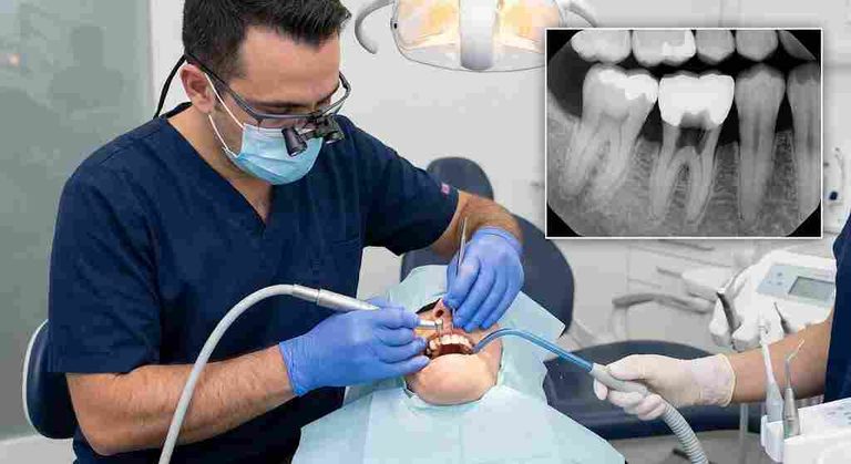 section bridge dental code